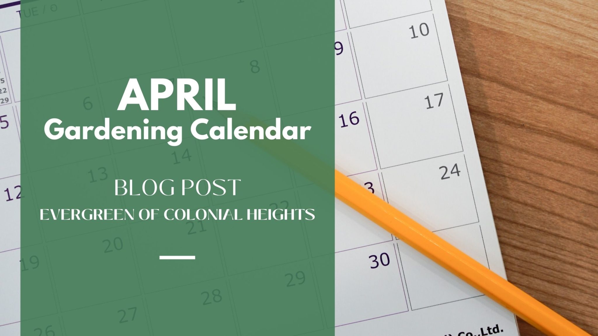 Gardening Calendar April Evergreen of Colonial Heights