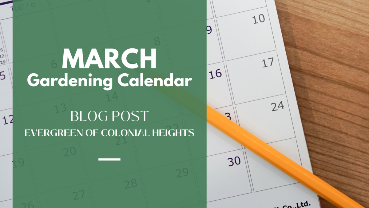 Gardening-Calendar-March-e1646700154903