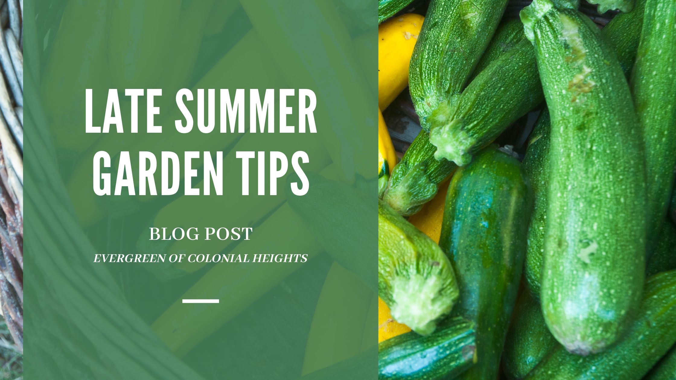 Late Summer Garden Tips