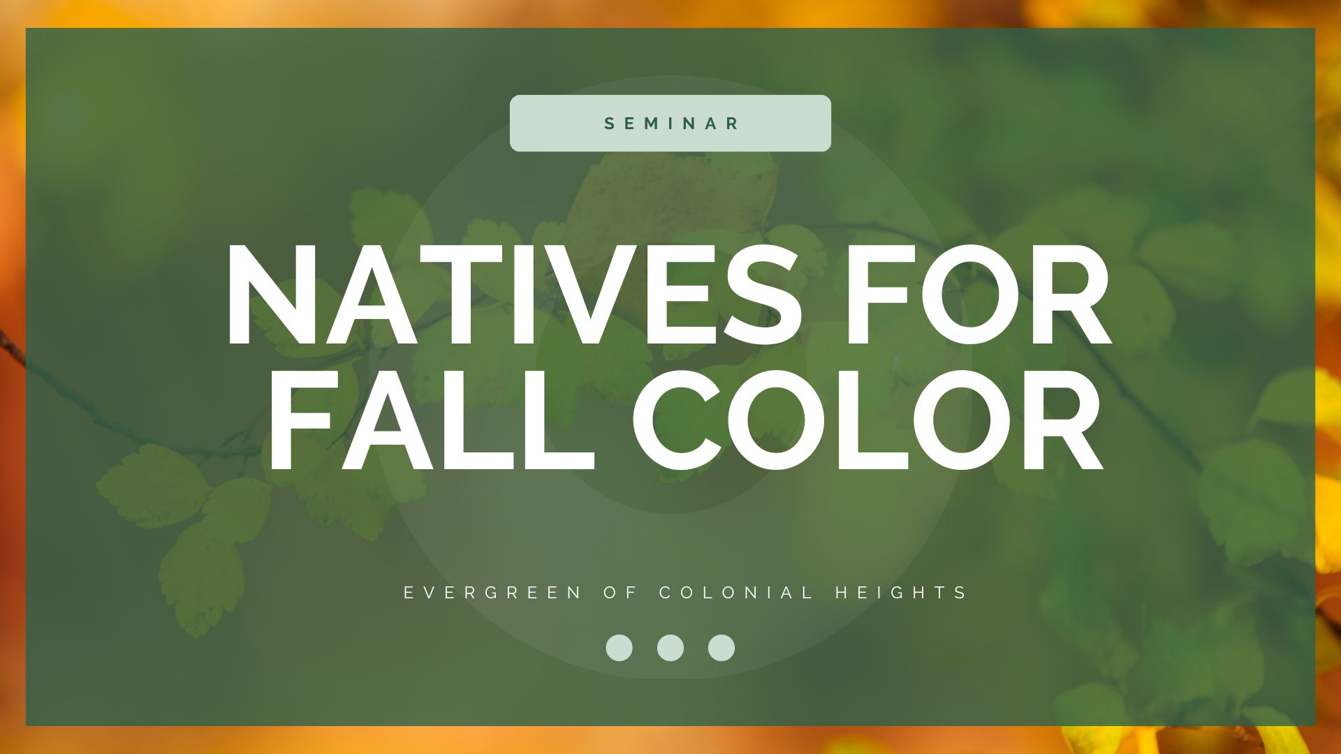 Natives for Fall Color