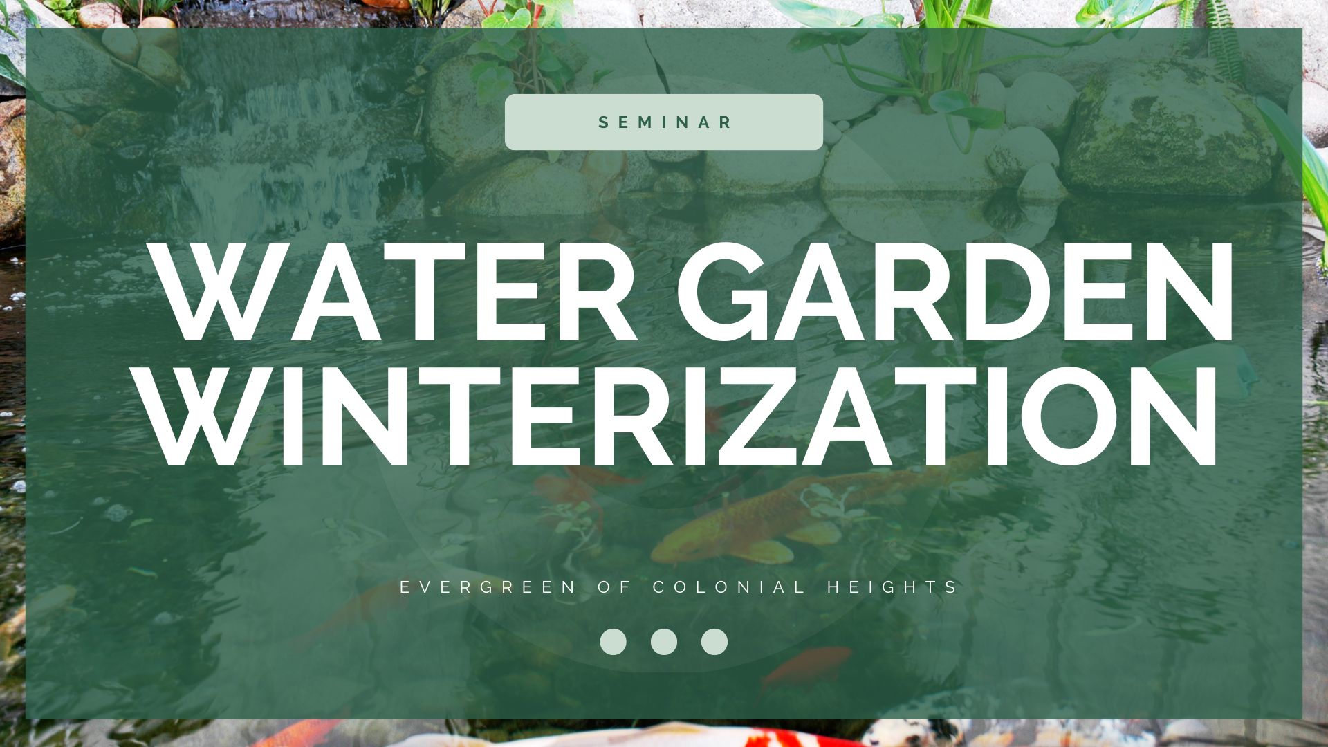 Water Garden Winterization