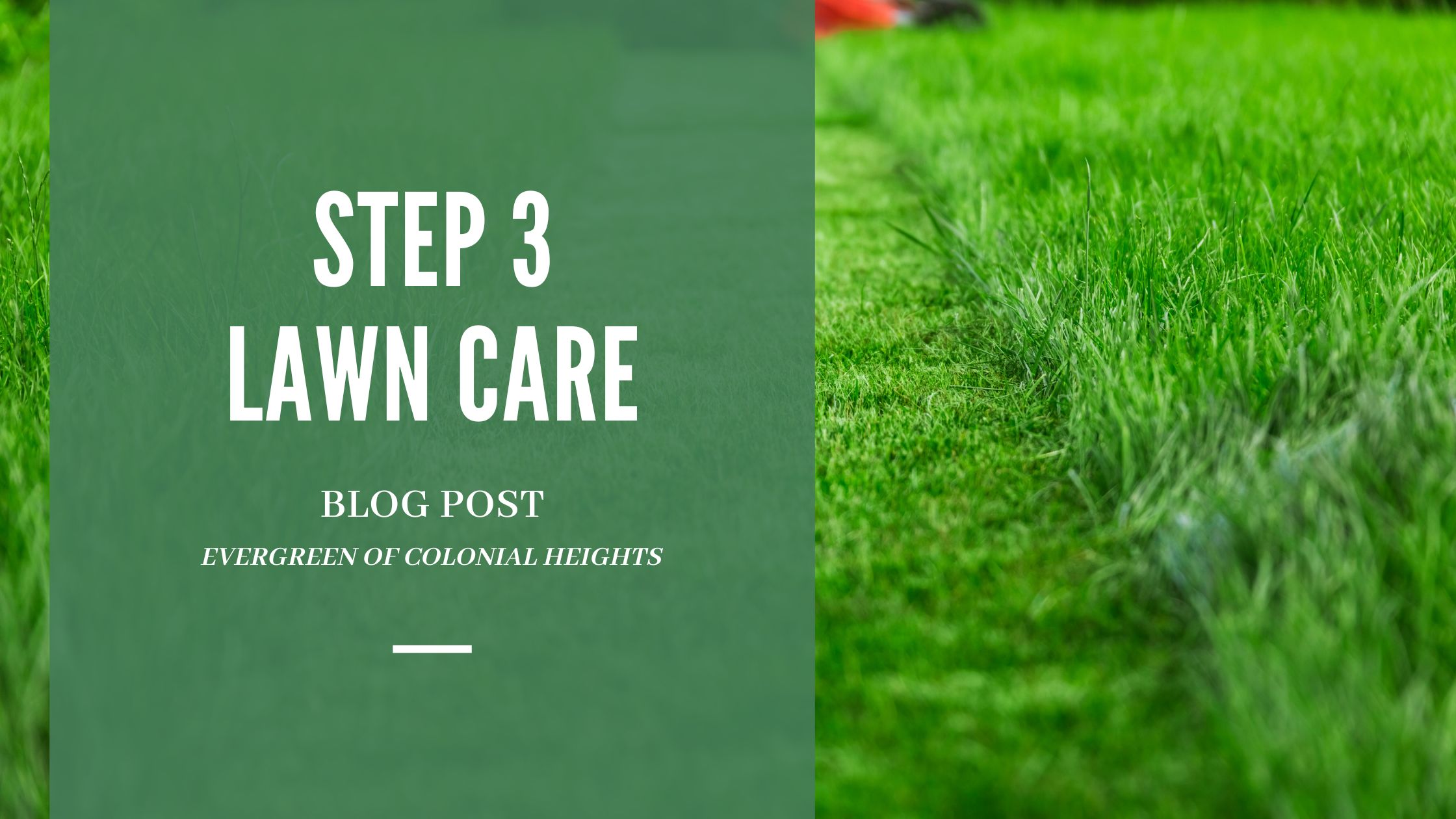 Step 3 Lawn Care