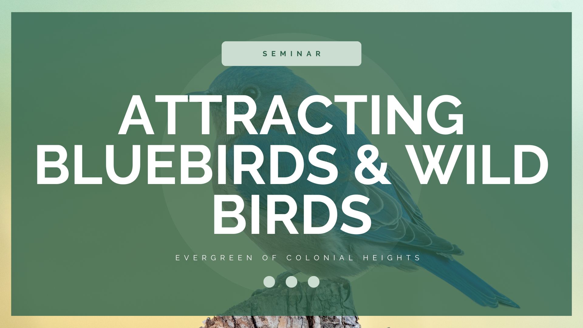 Attracting Bluebirds Wild Birds Seminar Header