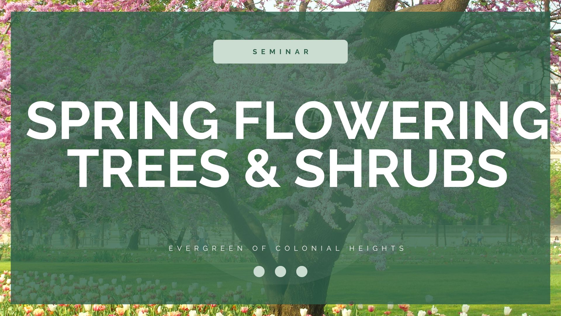 Spring Flowering Trees & Shrubs Seminar Header