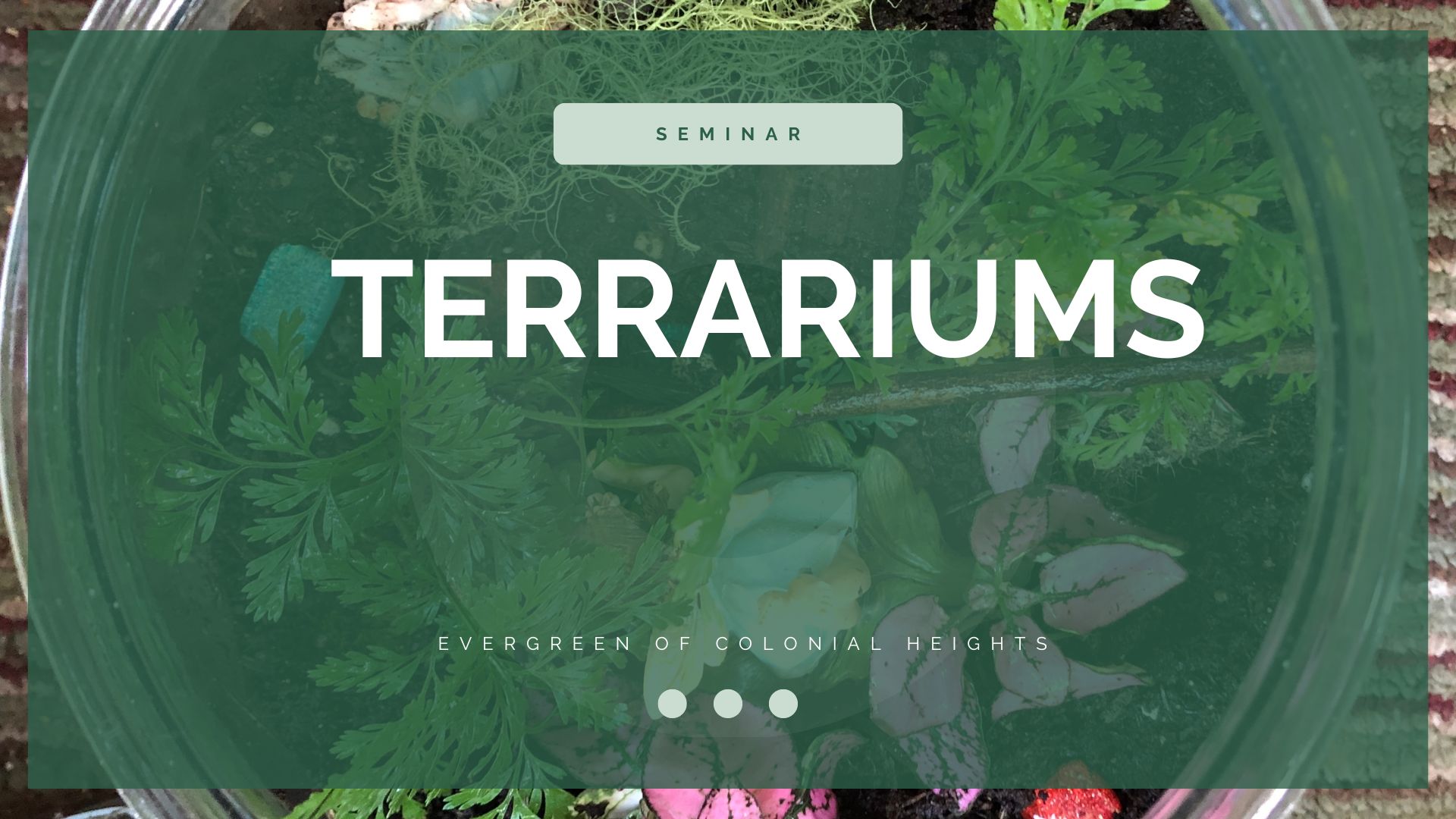Terrariums Seminar Header
