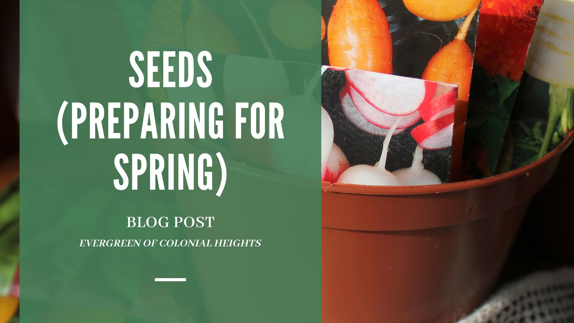 Seeds – Preparing for Spring